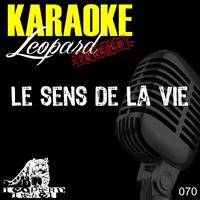Mr. Midi - Le sens de la vie (Karaoke Version Originally Performed By Tal)
