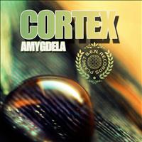 Cortex - Amygdela - EP