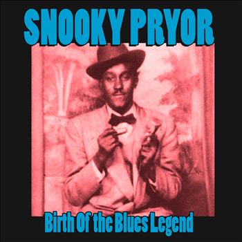 Snooky Pryor - Birth of the Blues Legend