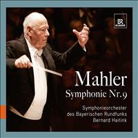 Bernard Haitink - Mahler: Symphony No. 9