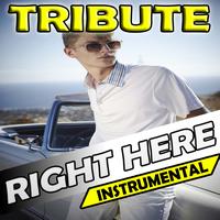 The Supreme Team - Right Here (Tribute to Justin Bieber feat. Drake Insturmental)
