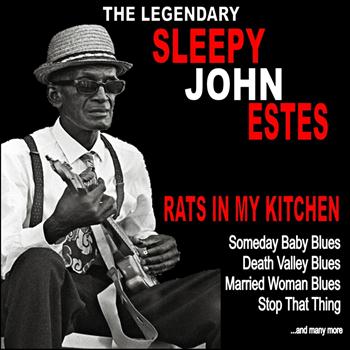 Sleepy John Estes - Rats in My Kitchen :The Legendary Sleepy John Estes