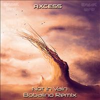 Axcess - Not In Vain