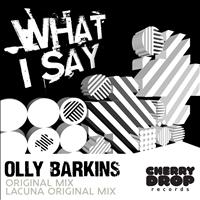 Olly Barkins - What I Say