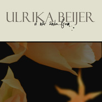 Ulrika Beijer - Vi når ända fram