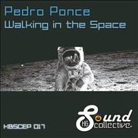 Pedro Ponce - Walking In The Space