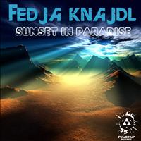 Fedja Knajdl - Sunset In Paradise