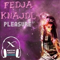 Fedja Knajdl - Pleasure