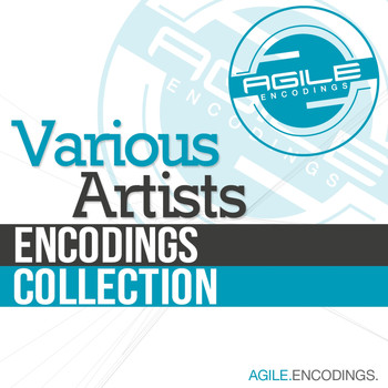 Various Artists - Encodings Collection