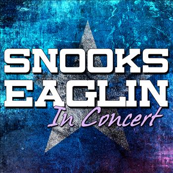Snooks Eaglin - Snooks Eaglin in Concert