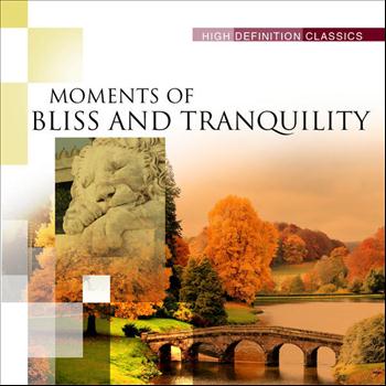 Various Artists - Moments of Bliss and Tranquility