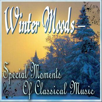 Various Artists - Winter Moods - Special Moments Of Classical Music