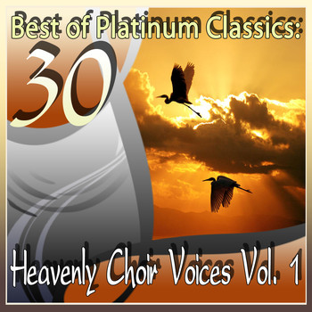 Various Artists - 30 Best of Platinum Classics: Heavenly Choir Voices Vol. 1