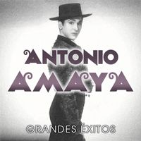 Antonio Amaya - Grandes Exitos