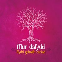Fflur Dafydd - Ffydd Gobaith Cariad