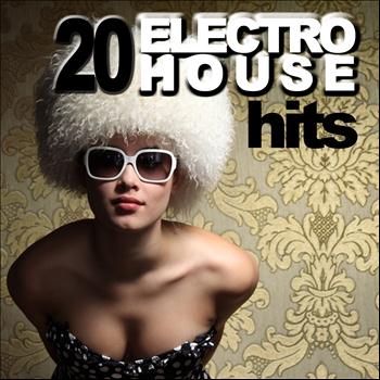 Various Artists - 20 Electro House Hits