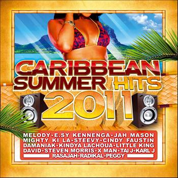 Various Artists - Caribbean Summer Hits 2011