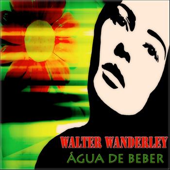Walter Wanderley, Isaura Garcia, Pery Ribeiro - Água de Beber