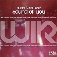 Gushi & Raffunk - Sound Of You (The Remixes)
