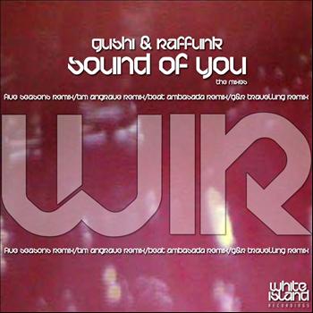 Gushi & Raffunk - Sound Of You (The Remixes)