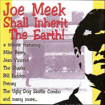 Various Artists - Joe Meek Shall Inherit the Earth