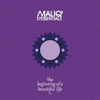 Maliq & d'Essentials - The Beginning Of A Beautiful Life