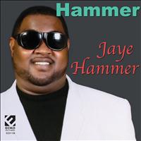 Jaye Hammer - Hammer
