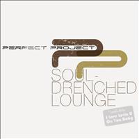 Perfect Project - Soul-Drenched Lounge