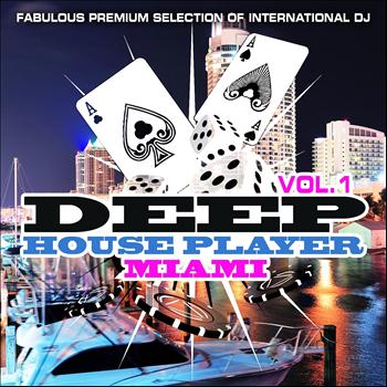 Various Artists - Deep House Player Miami, Vol. 1 (Fabulous Premium Selection of International DJ)