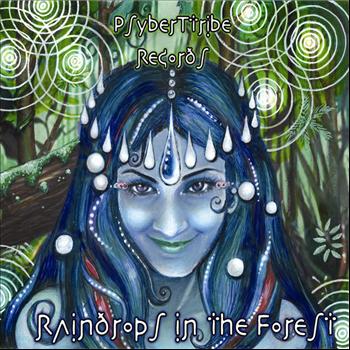 Various Artists - Raindrops in the Forest