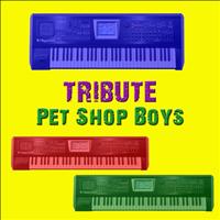 Three's A Crowd - Tribute Pet Shop Boys