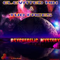 Elevated Mix & Two Faces - Psychedelic Mystery
