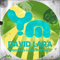 David Lara - Aint Afraid