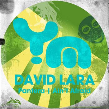 David Lara - Aint Afraid