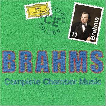 Various Artists - Brahms: Complete Chamber Music