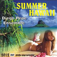 Diego Pepe - Summer hawaii (Strumentale)