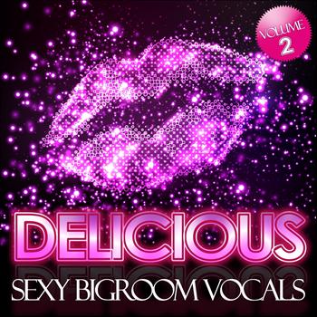 Various Artists - Delicious, Vol. 2 (Sexy Bigroom Vocals)