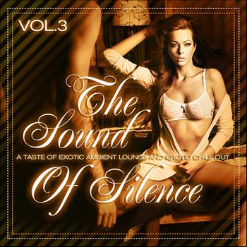 Various Artists - The Sound of Silence, Vol. 3 (A Taste of Exotic Ambient Lounge and Erotic Chill Out)