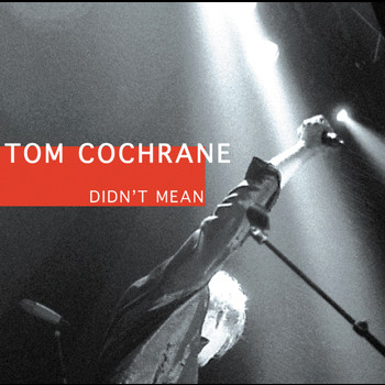 Tom Cochrane - Didn't Mean (Album Version)