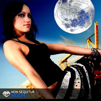 Non Sequitur - Moon