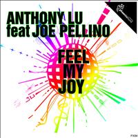 Anthony Lu - Feel My Joy