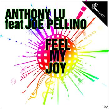 Anthony Lu - Feel My Joy