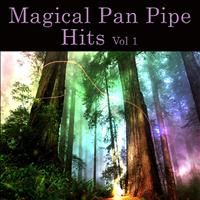 Wolfgang Remo - Magical Pan Pipe Hits Vol. 1