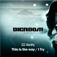 Dj Asney - This is the way