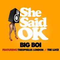 Big Boi - She Said OK