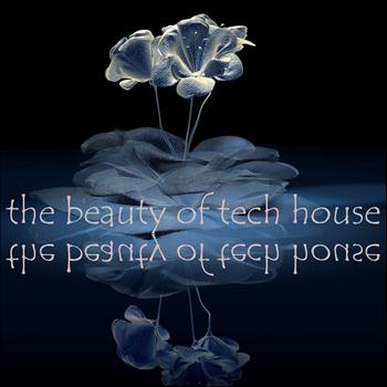 Various Artists - The Beauty of Tech House (Gorgeous Techno and Minimal House Diamonds)