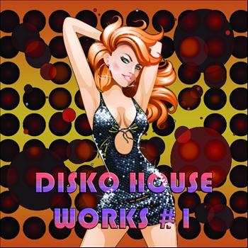 Various Artists - Disko House Works #1 (Club Lessons of House and Electro Disco)