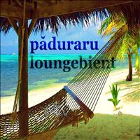 Paduraru - Loungebient (Deephouse Mix)