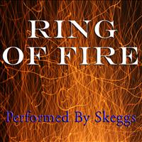 Skeggs - Ring of Fire - Performed by Skeggs