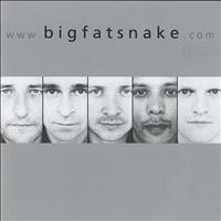 Big Fat Snake - www.bigfatsnake.com